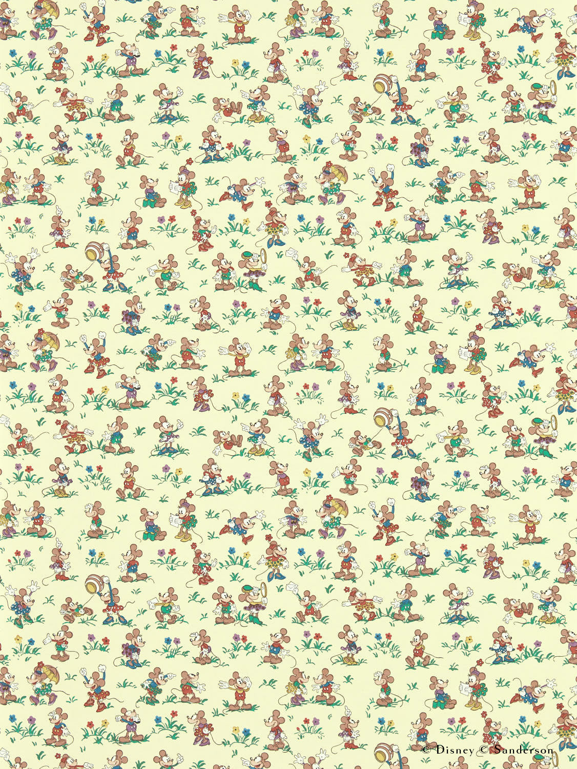 Zoom