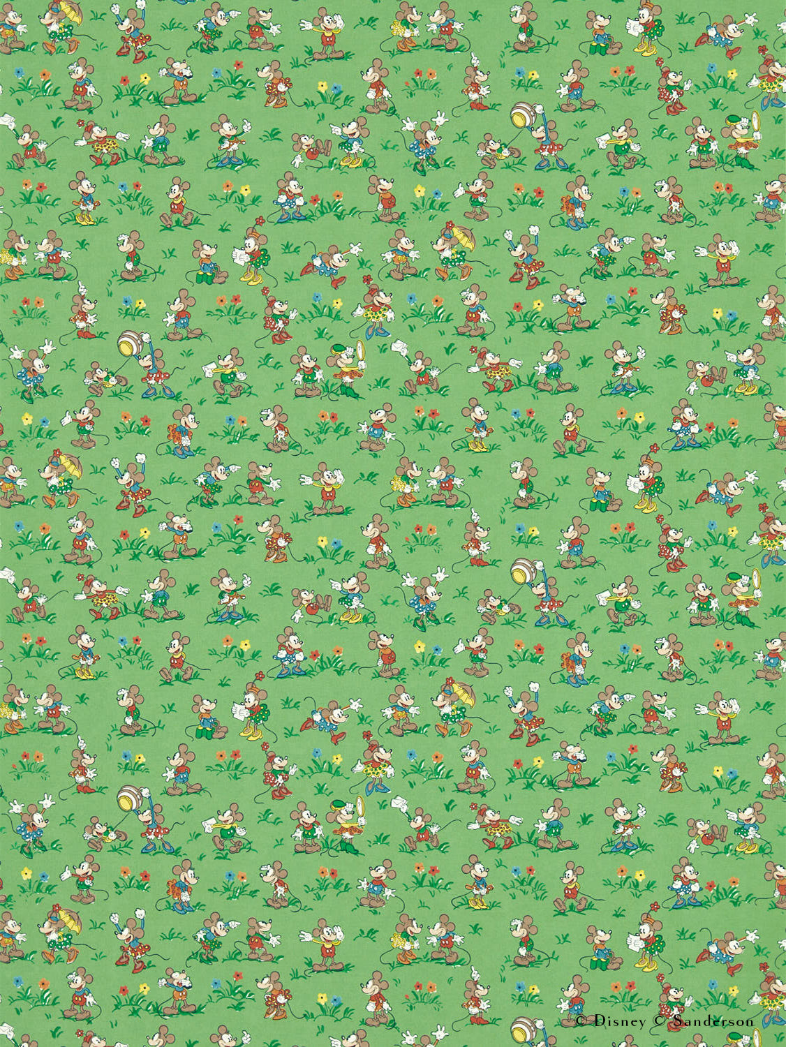 Zoom