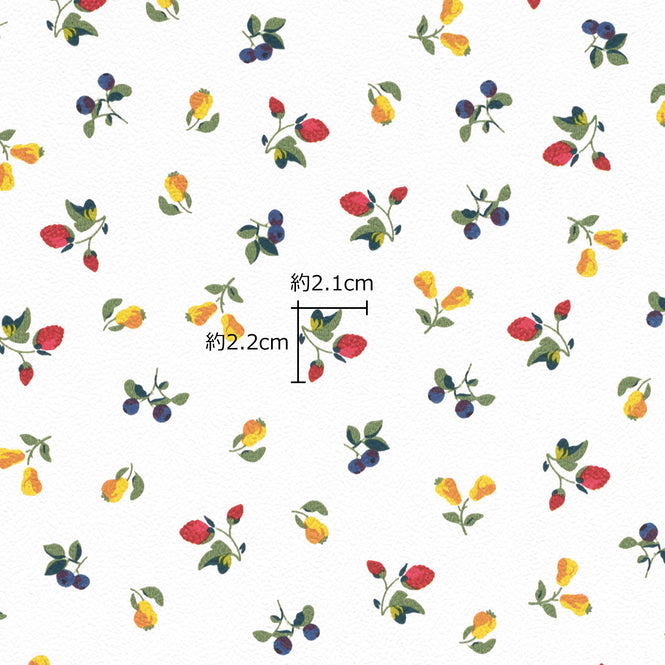 【A4サンプル】Emil & Hugo / FRUITS 288239 (PETITE FLEUR 5)