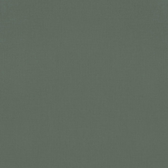 【輸入壁紙はじめてセット】rasch ラッシュ / 531459(690750) (Salsa / AMAZING)