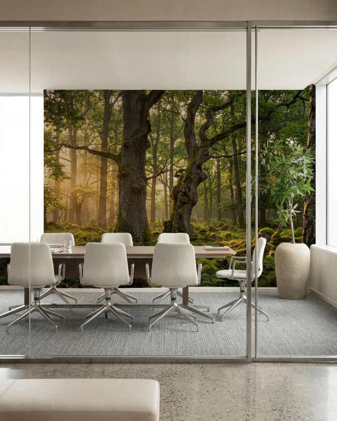 PHOTOWALL / Beautiful Forest (e315909)