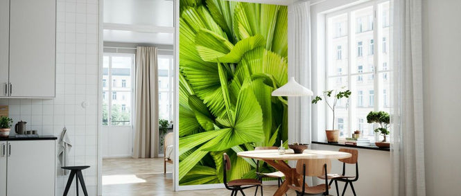 PHOTOWALL / Dreamy Bali - Palm Leaves (e93147)