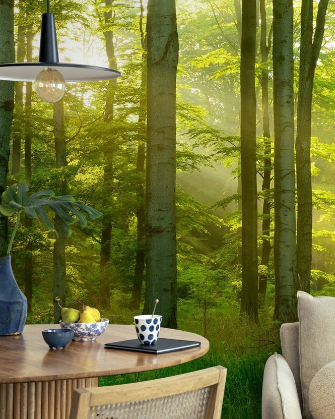 PHOTOWALL / Beech Tree Forest (e97248)