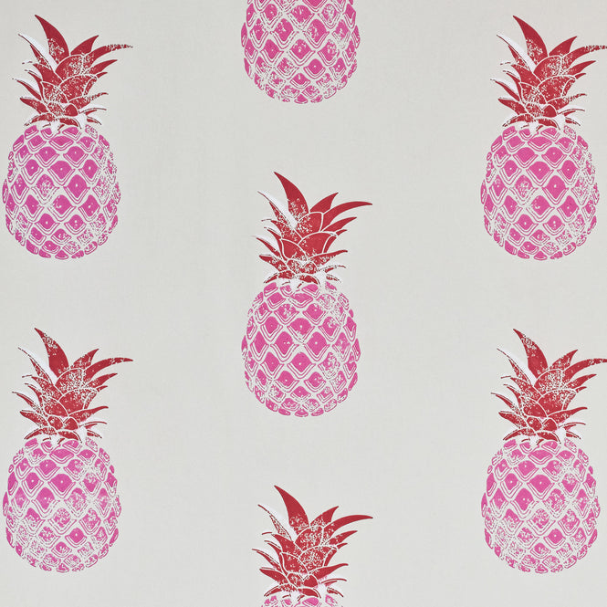 【1mサンプル】Barneby Gates / WALLPAPER BOOK VOL Ⅲ / Pineapple Red/Pink BG1200201