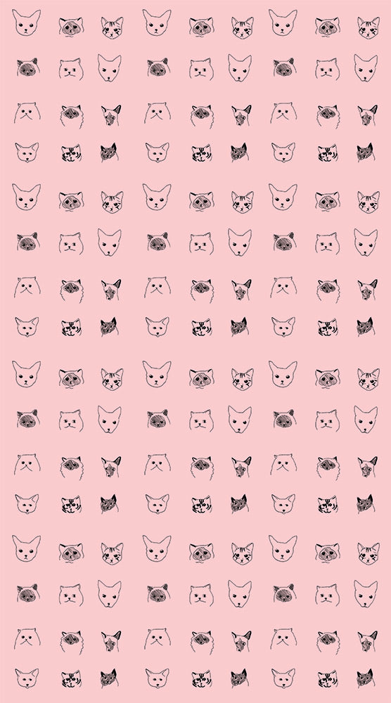 【限定数】【切売m単位】Baines&Fricker / CATS WALLPAPER Pink