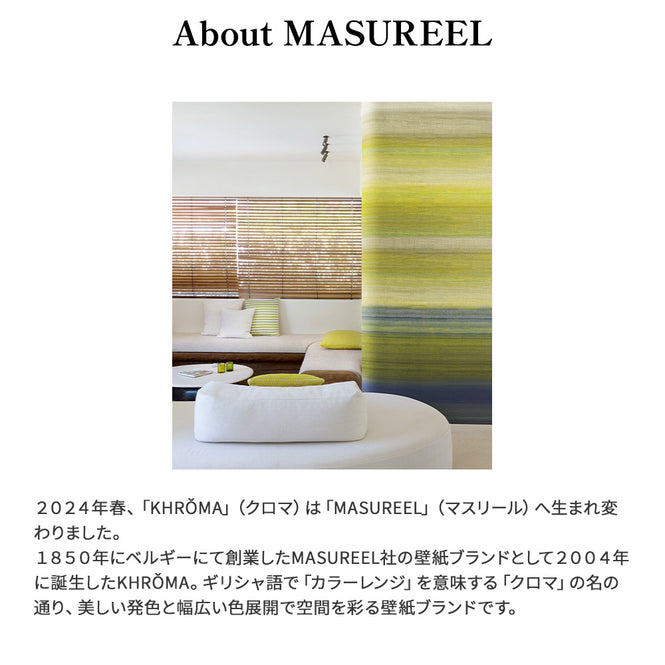 輸入壁紙 MASUREEL / SERICA / Chanderi Honey DGRIC204-300【H300cm ver.】