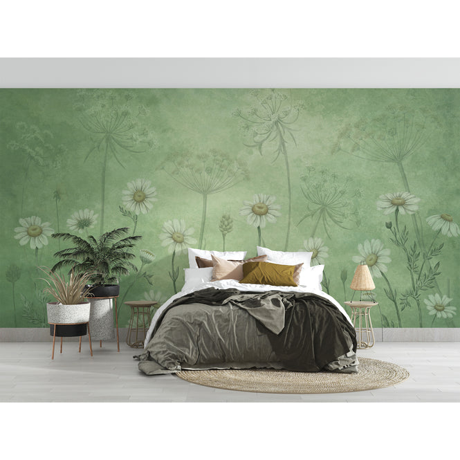 Sir Edward / Dazzling Daisies Green W13364