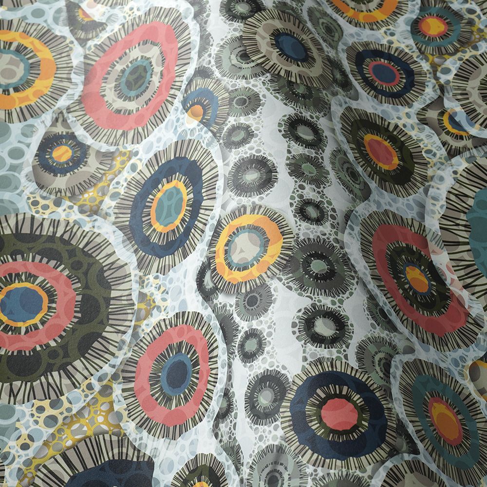 Zoom