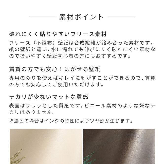 【WALLTZ】Day Starter / rhythmical Off-White NWZ-RCOW (49cm×2.5mサイズ)