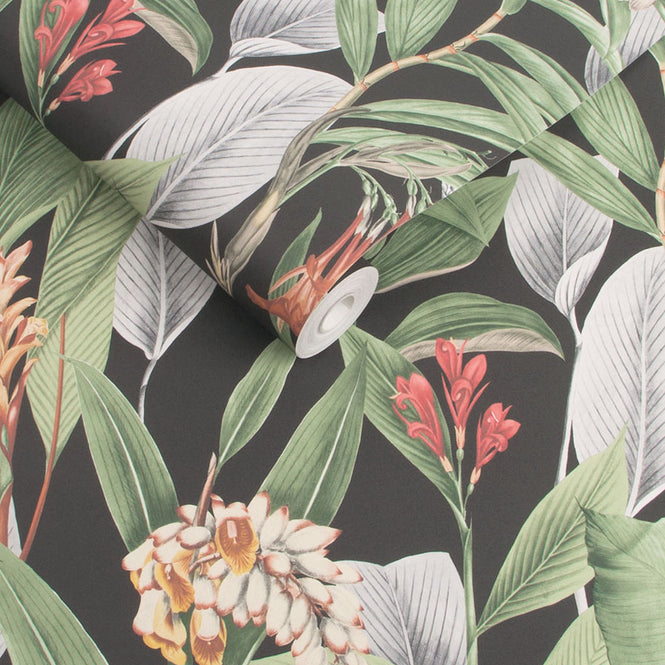 Graham & Brown / Botanical Black 103798