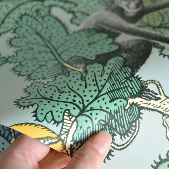 Cole&son / FORNASETTI 2018 FRUTTO PROIBITO 114/1002