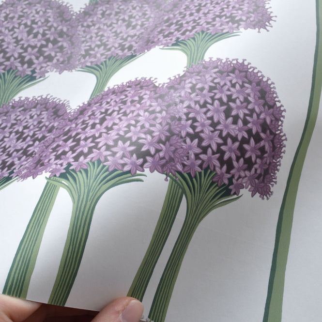 Cole&son / BOTANICAL BOTANICA 115/12034