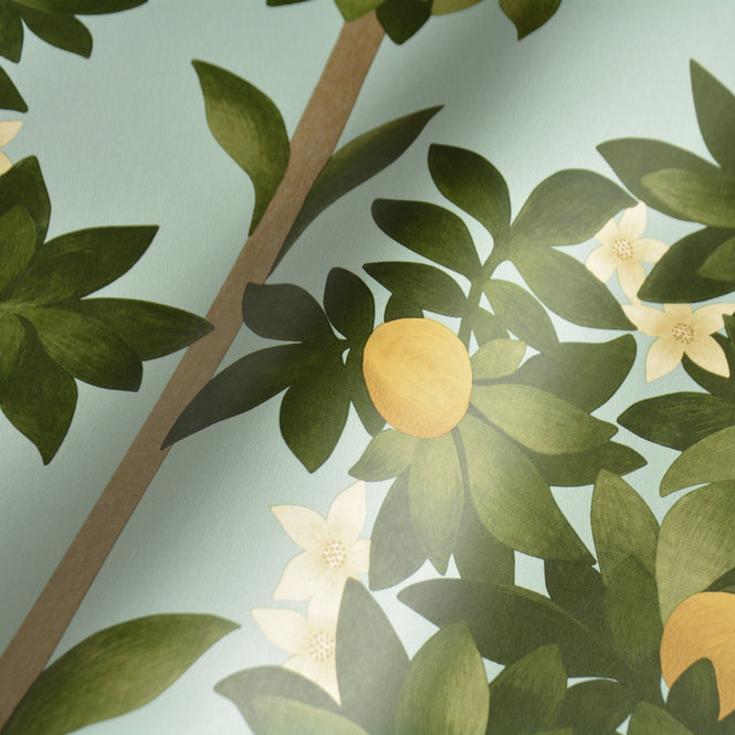 Cole&Son / SEVILLE / ORANGE BLOSSOM 117/1002