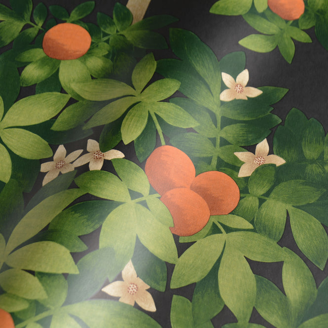 Cole&Son / SEVILLE / ORANGE BLOSSOM 117/1003