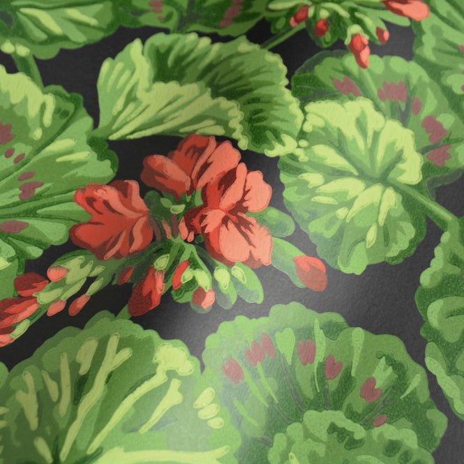 Cole&Son / SEVILLE / GERANIUM 117/11033