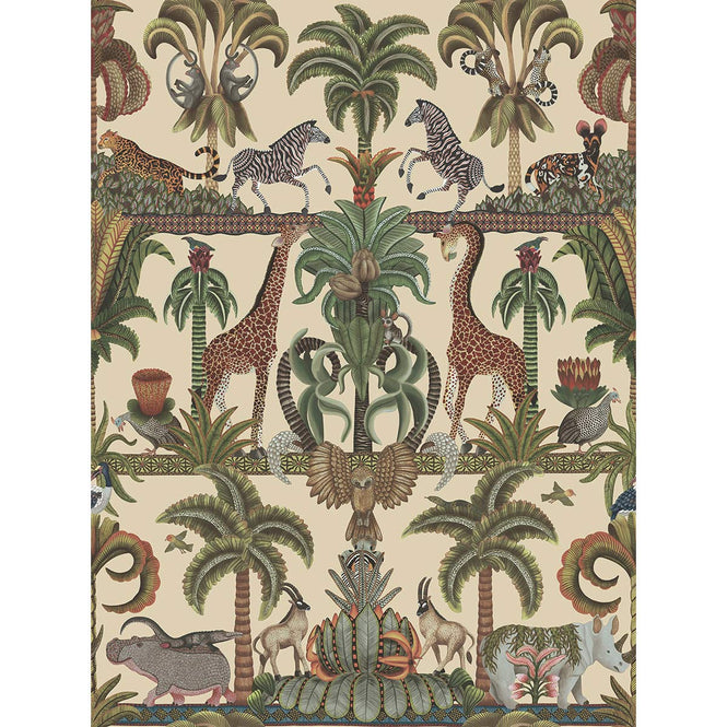 Cole&son / ARDMORE JABULA / AFRIKA KINGDOM 119/5026