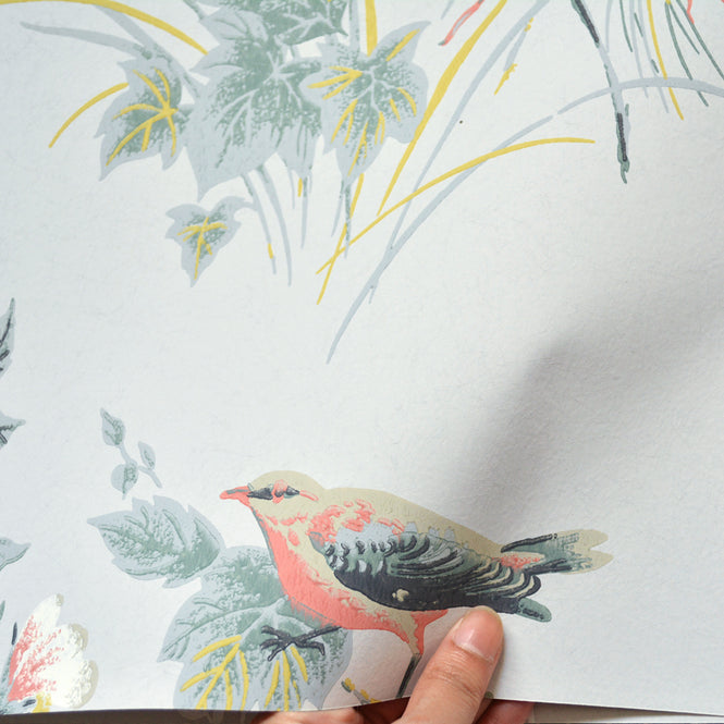 【切売m単位】 1838 Wallcoverings / Rosemore Rosemore 1601-100-05