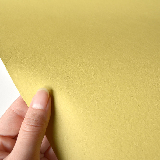【1mサンプル】1838 Wallcoverings / Rosemore 1601-100-special