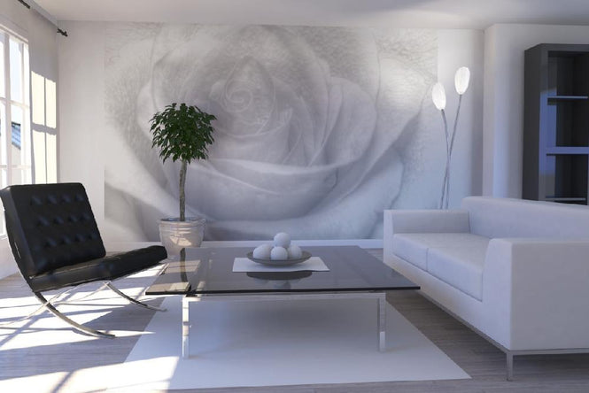 PHOTOWALL / High Key Rose (e1586)
