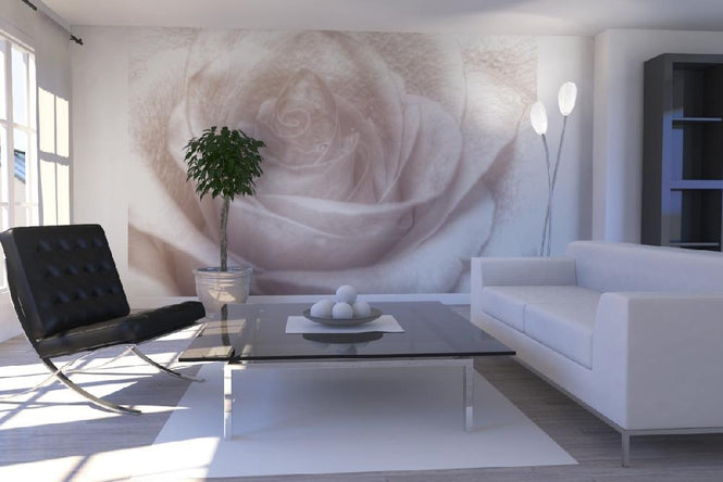 PHOTOWALL / High Key Rose (e1587)
