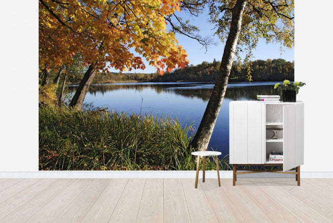 PHOTOWALL / Autumn Lake (e19197)