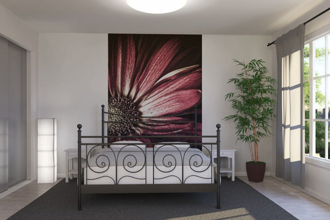 PHOTOWALL / Dark Daisy (e1972)
