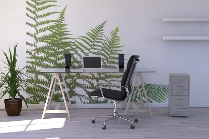 PHOTOWALL / Ferns (e6228)
