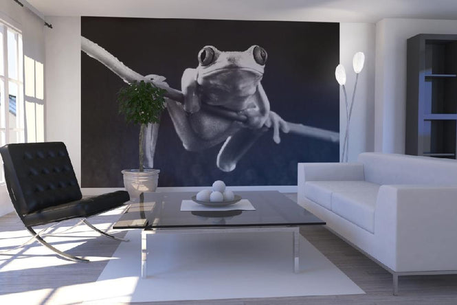 PHOTOWALL / Red Frog - b/w (e9035)