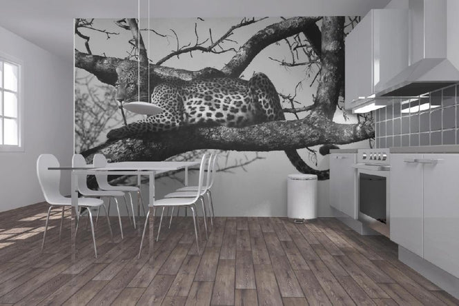 PHOTOWALL / Leopard in Tree (e10005)