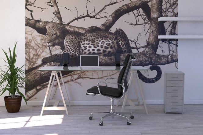 PHOTOWALL / Leopard in Tree (e10006)