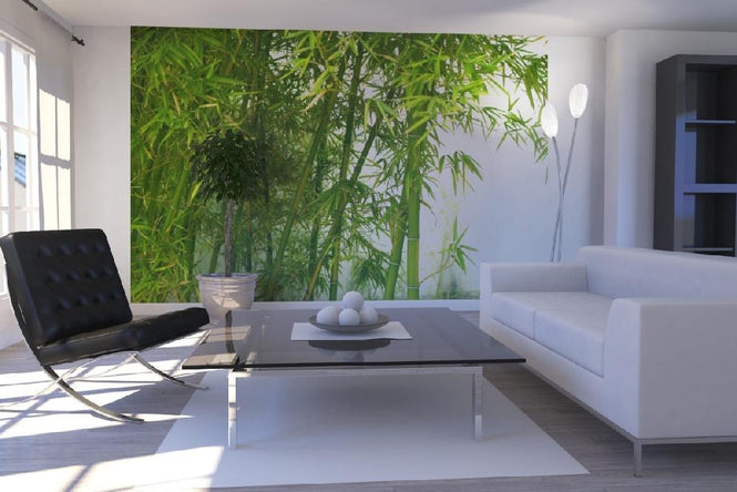 PHOTOWALL / Beautiful Bamboo (e10061)