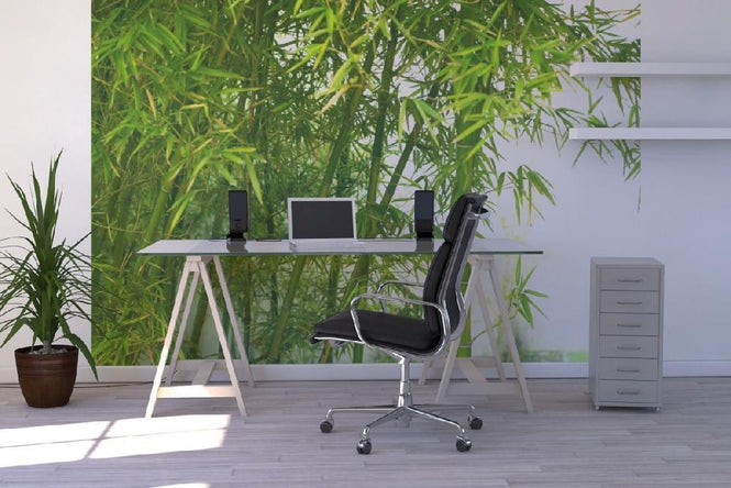PHOTOWALL / Beautiful Bamboo (e10061)