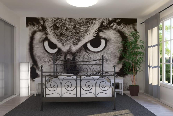 PHOTOWALL / Great Horned Owl (e1451)