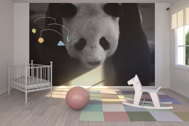 PHOTOWALL / Giant Panda (e1894)