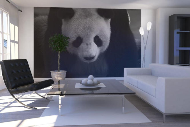 PHOTOWALL / Giant Panda (e1894)