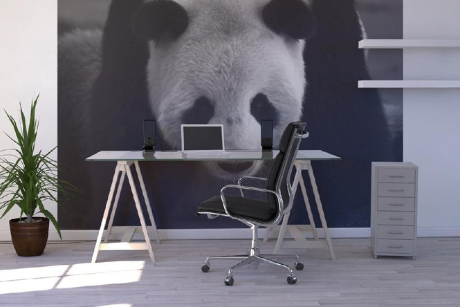 PHOTOWALL / Giant Panda (e1894)