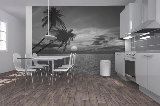 PHOTOWALL / Coconut Palm Sun (e1902)