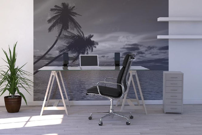 PHOTOWALL / Coconut Palm Sun (e1902)