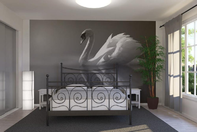 PHOTOWALL / Swan Reflection (e1906)