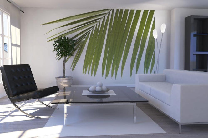 PHOTOWALL / Palm Leaves (e1940)