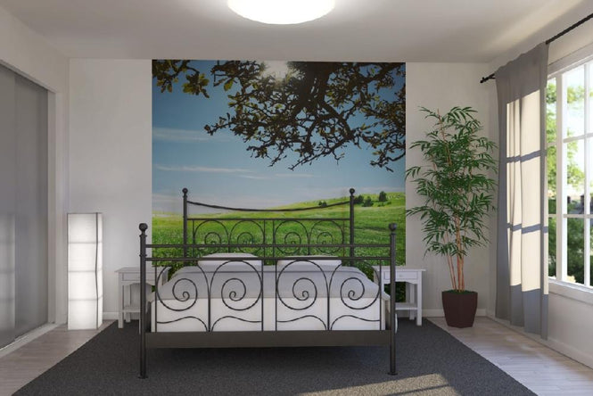 PHOTOWALL / Green Meadow (e19377)