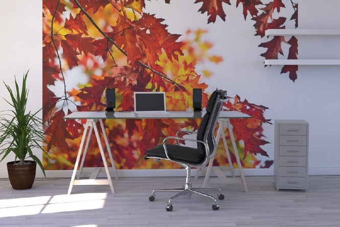 PHOTOWALL / Red and Yellow Leaves (e19357)