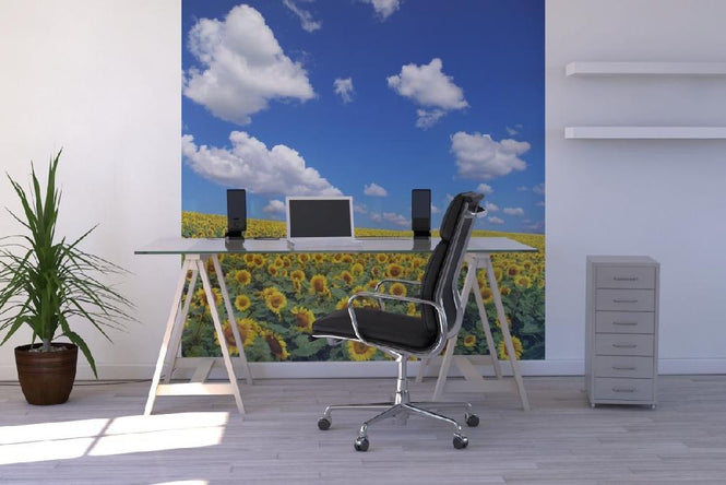PHOTOWALL / Sunflower Field (e19334)