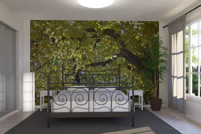 PHOTOWALL / Tree Branches (e19438)
