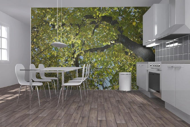 PHOTOWALL / Tree Branches (e19438)