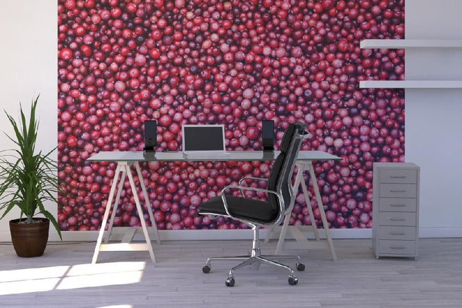 PHOTOWALL / Lingonberries (e19434)