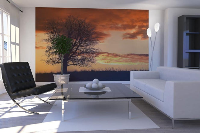 PHOTOWALL / Tree in Sunset (e19691)