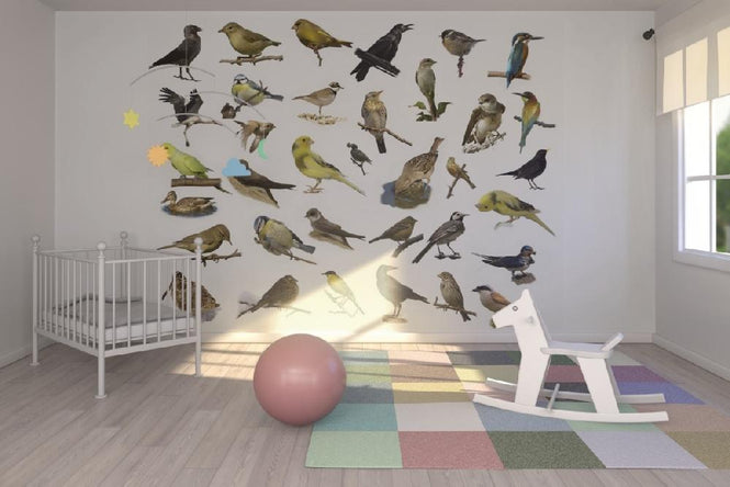 PHOTOWALL / Birds (e20328)