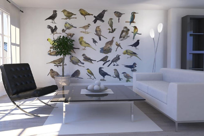 PHOTOWALL / Birds (e20328)