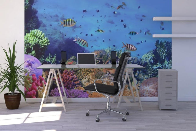 PHOTOWALL / Coral Reef at Koh Cahg Island (e20416)